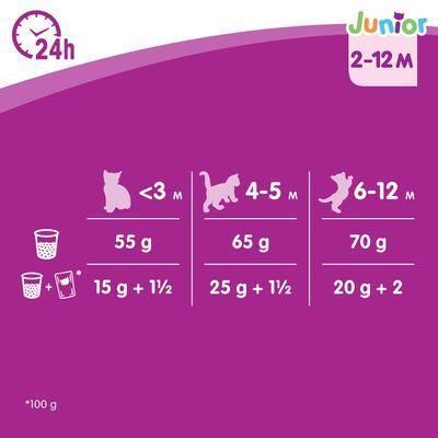 Сухий корм Whiskas Junior Chicken з куркою 1,9 кг (Німеччина) 2179000646 фото