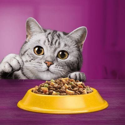 Сухий корм Whiskas 1+ з куркою 3,8 кг (Німеччина) 2178958405 фото